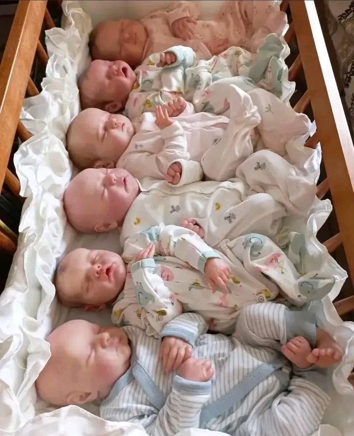 Reborn Baby Dolls Liquidation Pallet - Image 4