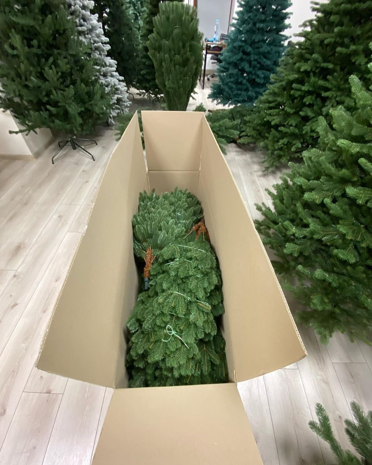 Christmas Tree pallet liquidation - Image 4